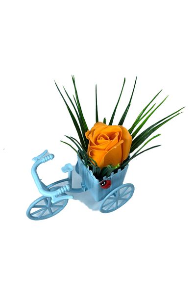 dalimag Aranjament Floral, Bicicleta Albastra, Trandafir Portocaliu, Parfumat, Buburuza