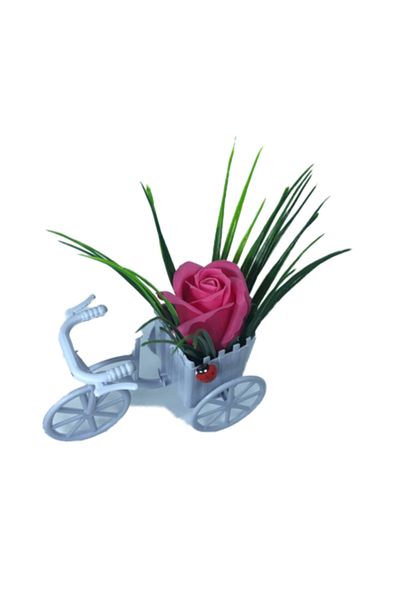 dalimag Aranjament floral, bicicletă mov, trandafir roz închis, parfumat, buburuză,