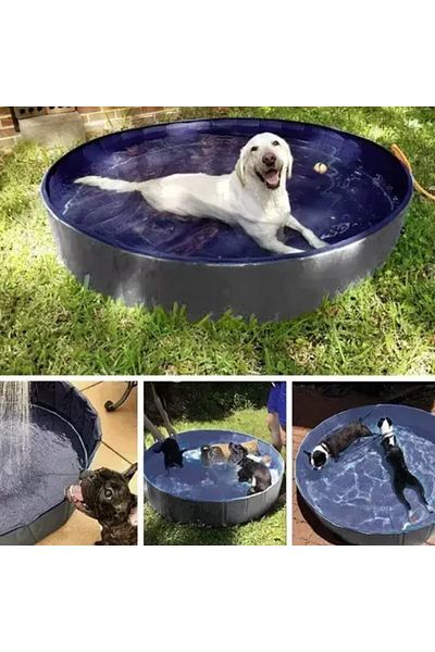 zola Piscina pliabila pentru animale, 600l, PVC rezistent, 160 x 30 cm, albastru/gri