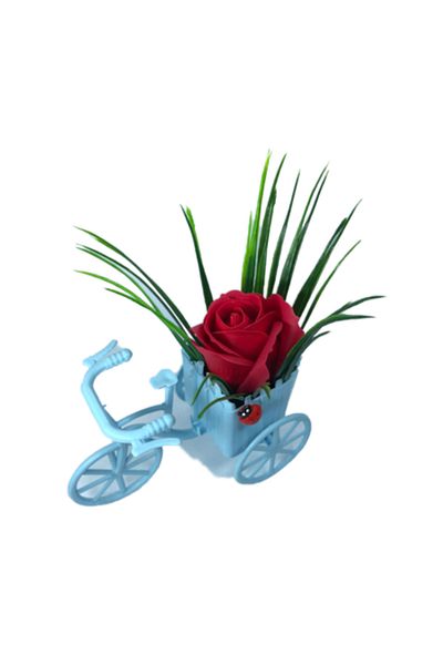 dalimag Floral Arrangement, Blue Bicycle, Red Rose, Scented, Ladybug,