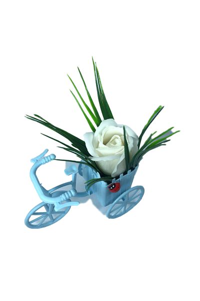 dalimag Aranjament Floral, Bicicleta Albastra, Trandafir Alb, Parfumat, Buburuza