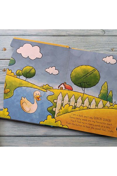 North Parade Children's book, NPP, Birds, Children's 6 Button Sound Book, 1+ years