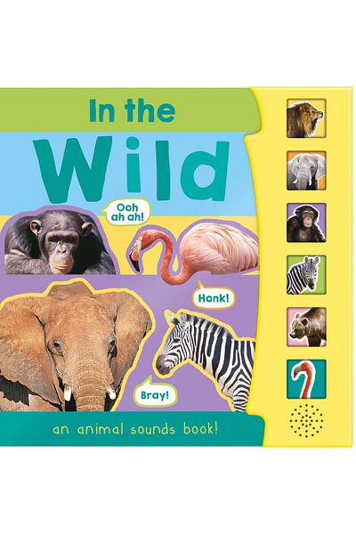 North Parade Children's book, NPP, In The Wild, Children's 6 Button Sound Book, 3+ years