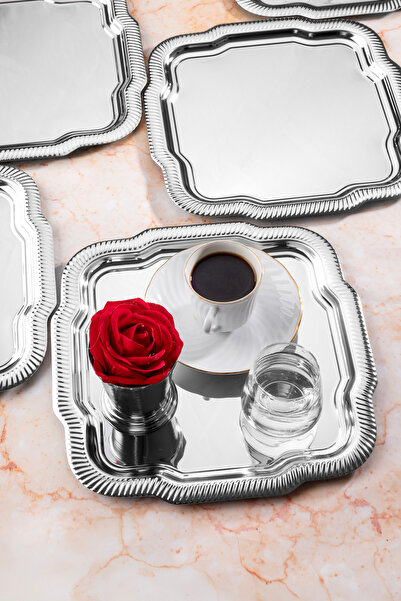 NEWTREND Züccaciye 6-Piece Luxury Edge Line Patterned Silver Daisy Model Stainless Steel Serving, Tea, Coffee Presentation Tray