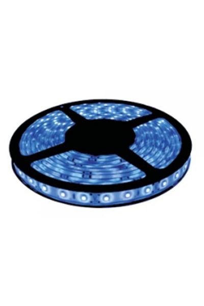 Braytron BANDĂ LED 4.8W/M 3528 60LED/M ALBASTRU 12VDC IP20 5M