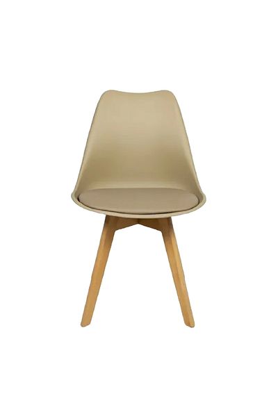 rexa Decorative Dining Chair