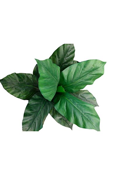 MAKİ DEKOR YAPAY DİFENBAHYA 100 CM 12 YAPRAKLI İÇ MEKAN SALON, İŞ YERİ AĞACI