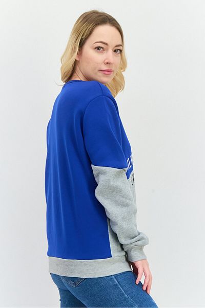 Buzz Women Crew Neck Long Sleeves Graphic Print Sweatshirt, Blue/Grey