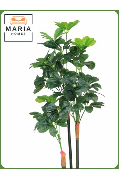 MARIA HOMES Artificial Schefflera Tree 150 cm – Decorative Indoor Plant with White Pot
