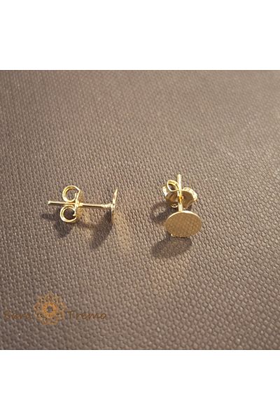 saratremo Gold-plated Earrings – Elegant Coin Design