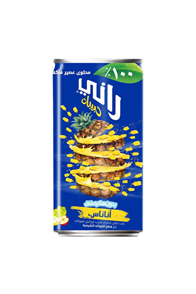 Rani Float Pineapple Fruit Drink, 180ml