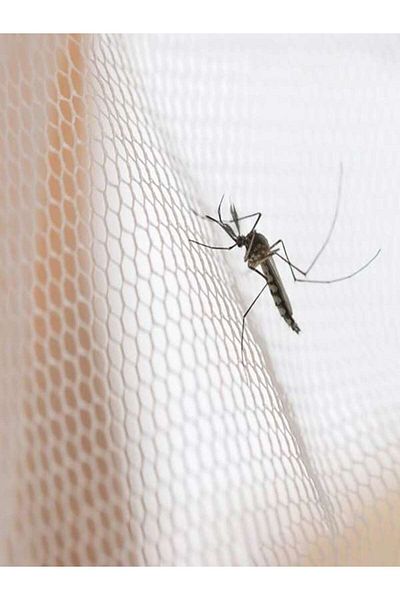 ANTBRO White mosquito net for window 1 × 1 m, insect protection, assembly with tape and knife included