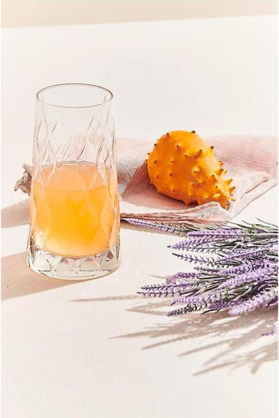 Paşabahçe 420955 Leafy Meşrubat Bardağı 450 cc 6'lı