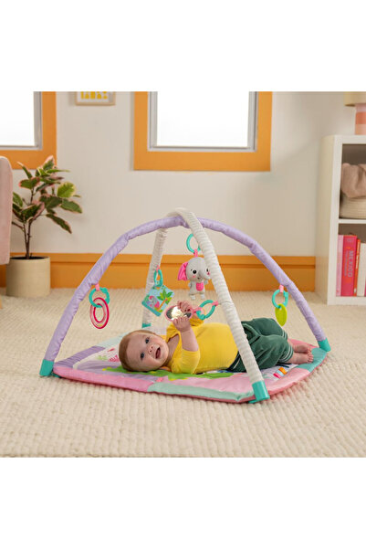 Bright Starts صالة الألعاب الرياضية القابلة للطي "سويت سفاري" من وايلد ويجلز، من عمر 0 إلى 36 شهرًا