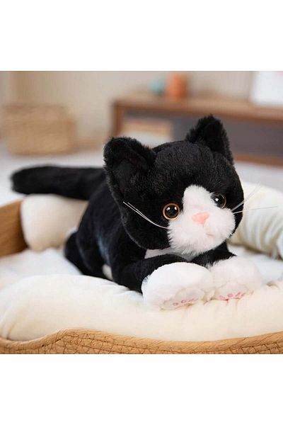 Kawaii Cute Cat Plush 26cm