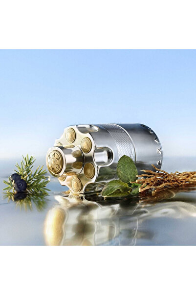 Azzaro Wanted, Eau de Parfum, Men, Eau de Parfum, 100 ml