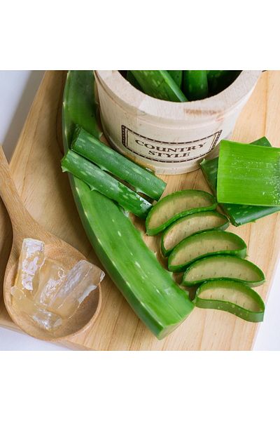 KLINTENSIV Sapun lichid-Aloe Vera 480 ml