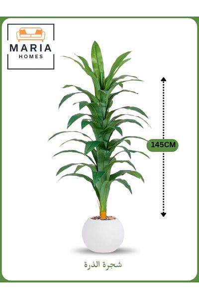 MARIA HOMES Artificial Corn Leaf Tree 145 cm – Decorative Indoor Plant with new White Pot