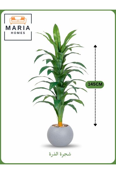 MARIA HOMES Artificial Corn Leaf Tree 145 cm – Decorative Indoor Plant with light Gray Pot