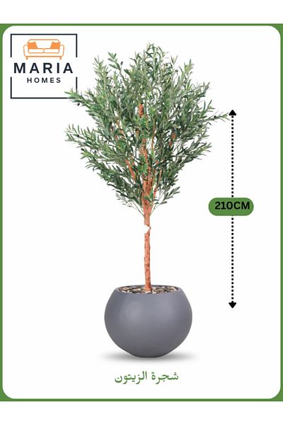 MARIA HOMES Artificial Olive Tree 210 cm – Large Decorative Tree with Black Pot