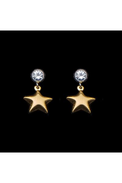 ElectraStore Gold Plated Star Earrings