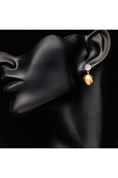 ElectraStore Shiny Gold Plated Earrings