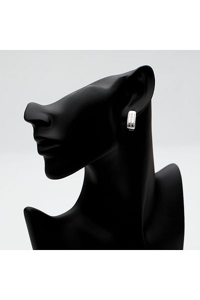 ElectraStore Glam Silver Earrings