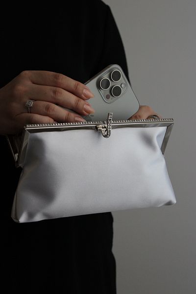 Mimoza Women's Metal Framed Stone Detailed Evening Dress Clutch Bag