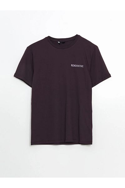 LC Waikiki Crew Neck Printed Men's T-Shirt