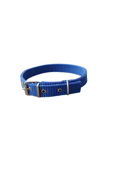 OEM Zgardă textilă albastră, 60 x 2,5 cm, pentru câini