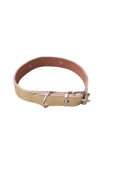 OEM Zgardă aurie din piele naturală, pentru câini de talie mică, 35 x 1,5 cm