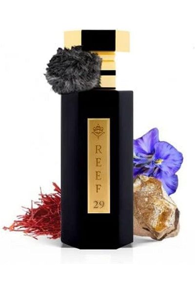 Reef Perfume Hair Eau de Parfum 50 ml, 29