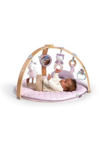 Ingenuity Cozy Spot Calla Reversible Plush Activity Gym with 5 Toys | Ages 0+