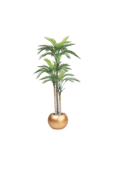 DEC31 Large Areca Tree, 3 Branches, Golden Corner