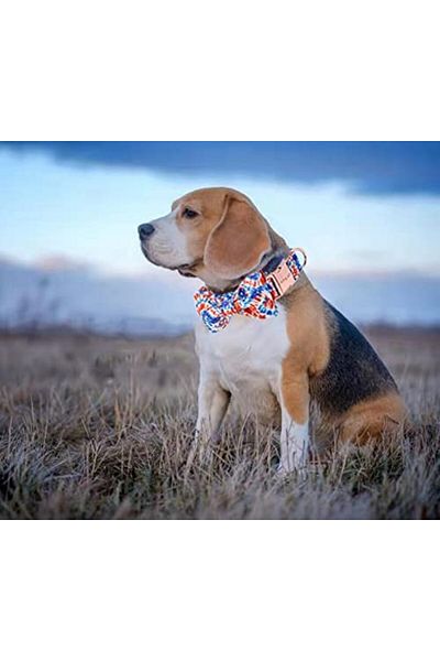 Aring Pet dog collar and bow tie set, cotton/metal, multicolor, size S