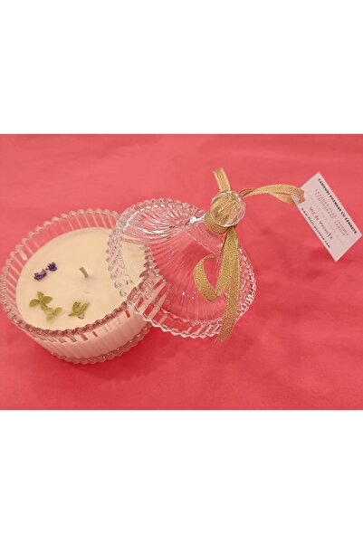 Flori Poznase Vis De Vacanță