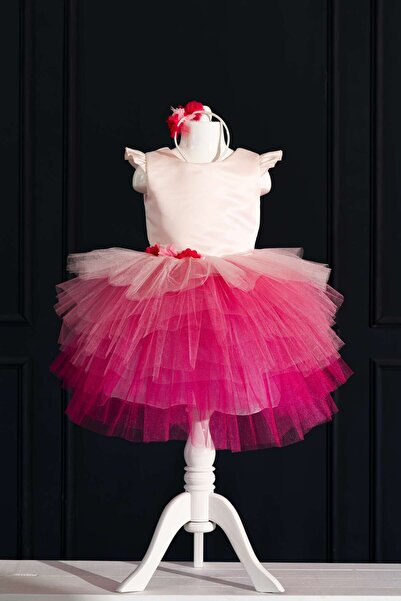 YAĞMUR KOStütüM Kız Çocuk Pembe Doğum Günü Elbisesi & Parti Kostümü Taç Hediy...