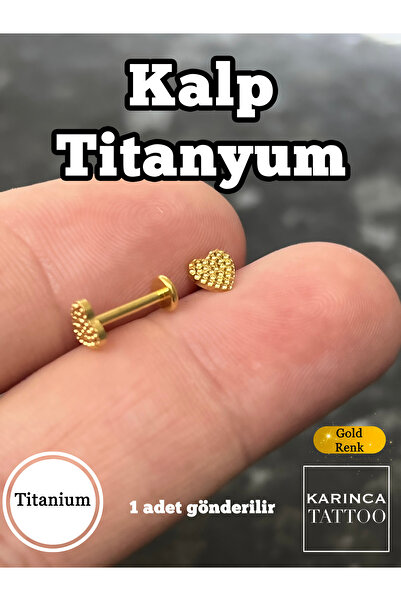 Karınca Piercing Kalp Titanyum Piercing Helix Flat Conch Burun Dudak Labret Tragus Küpe
