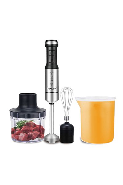 HALEY 4-in-1 Electric Hand Blender, 1200W, Stainless Steel, 2 Speeds + Accessories – Chopper, Whisk