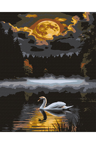 İZSA HOBİ Sayılarla Boyama Hobi Seti 40x50 Çerçeveli Numaralı Tuval Fırça Boy...