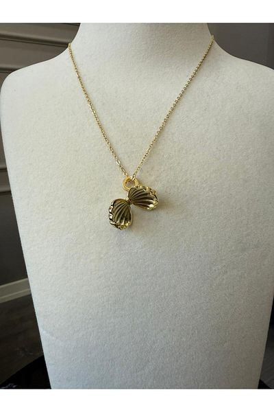 Store Expandable Cheeky Seashell Necklace