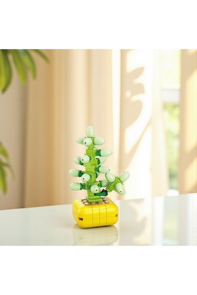 FLORİST |   Mini Botany |   Jelibon Succulent – Sedum Pachyphyllum Plant – DIY 3D Puzzle Mini Potted Block Set