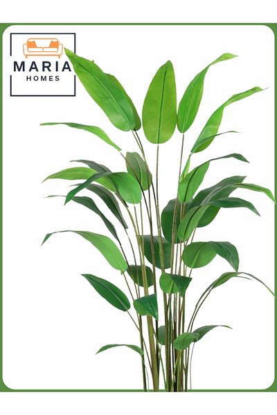 MARIA HOMES Artificial Bird of Paradise Tree 200 cm – Decorative Indoor Plant with Gray Pot