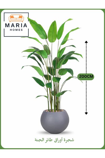 MARIA HOMES Artificial Bird of Paradise Tree 200 cm – Decorative Indoor Plant with Gray Pot