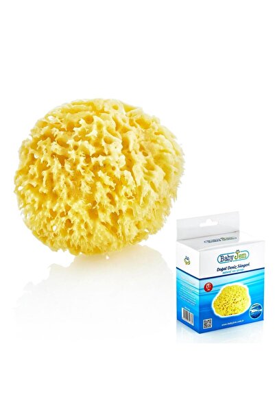 NW NessiWorld Nessiworld اسفنجة بحرية طبيعية 163