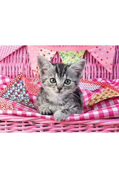 STOREMAX 129850 Cute Kitten Puzzle, 100 Pieces Star Buy Bz 1087243