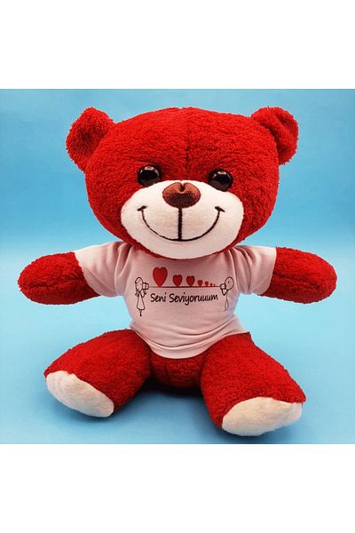 doremodam Teddy Bear with I Love You Design - Lisinya