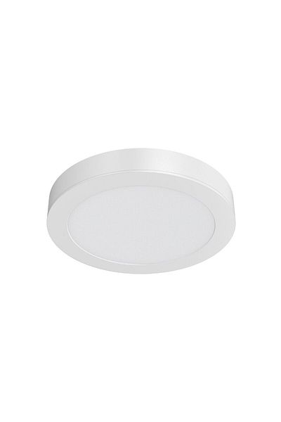 Braytron Spot LED Rotund PT 12W 1120lm 3000K ALB D:172MM IP40