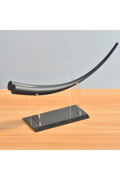 Choice1 نموذج رموش مزدوجة المخروطية مسطحة كبيرة الحجم، نموذج تمديد الرموش، عرض تدريب تعليمي