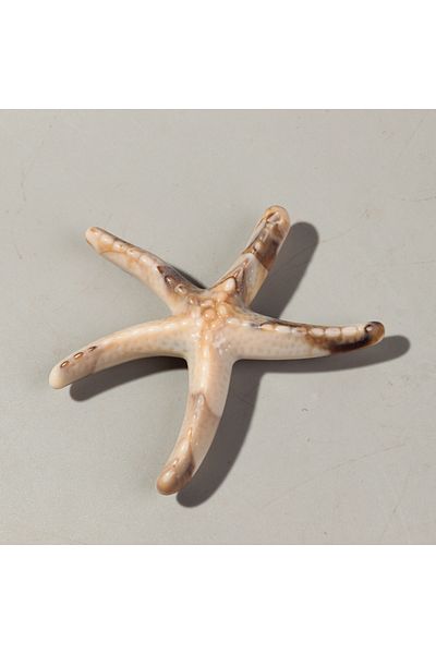 Choice beige 2pcs Colorful Acrylic Extra Large Starfish Shape Charms for DIY Jewelry Making Pendant Necklac
